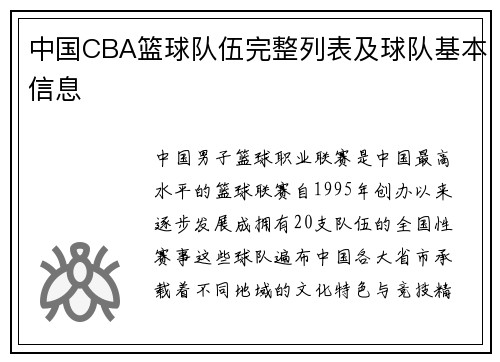 中国CBA篮球队伍完整列表及球队基本信息