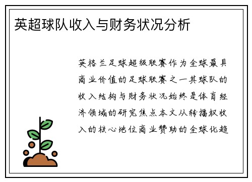 英超球队收入与财务状况分析